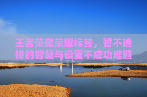 王者荣耀荣耀标签，暂不选择的智慧与设置不成功难题