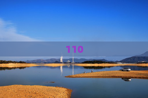 110