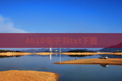 4020电子书txt下载