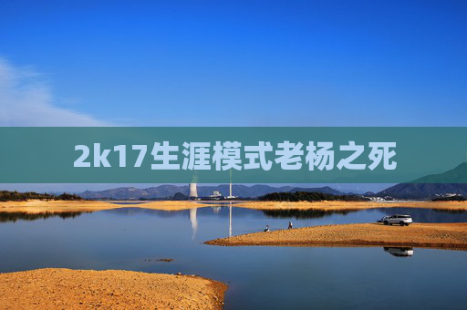 2k17生涯模式老杨之死
