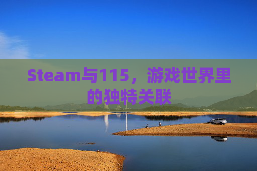 Steam与115，游戏世界里的独特关联