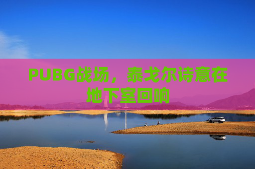 PUBG战场，泰戈尔诗意在地下室回响
